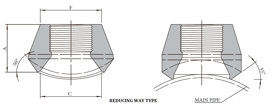 Forged High Pressure Fittings OLR_TOLS